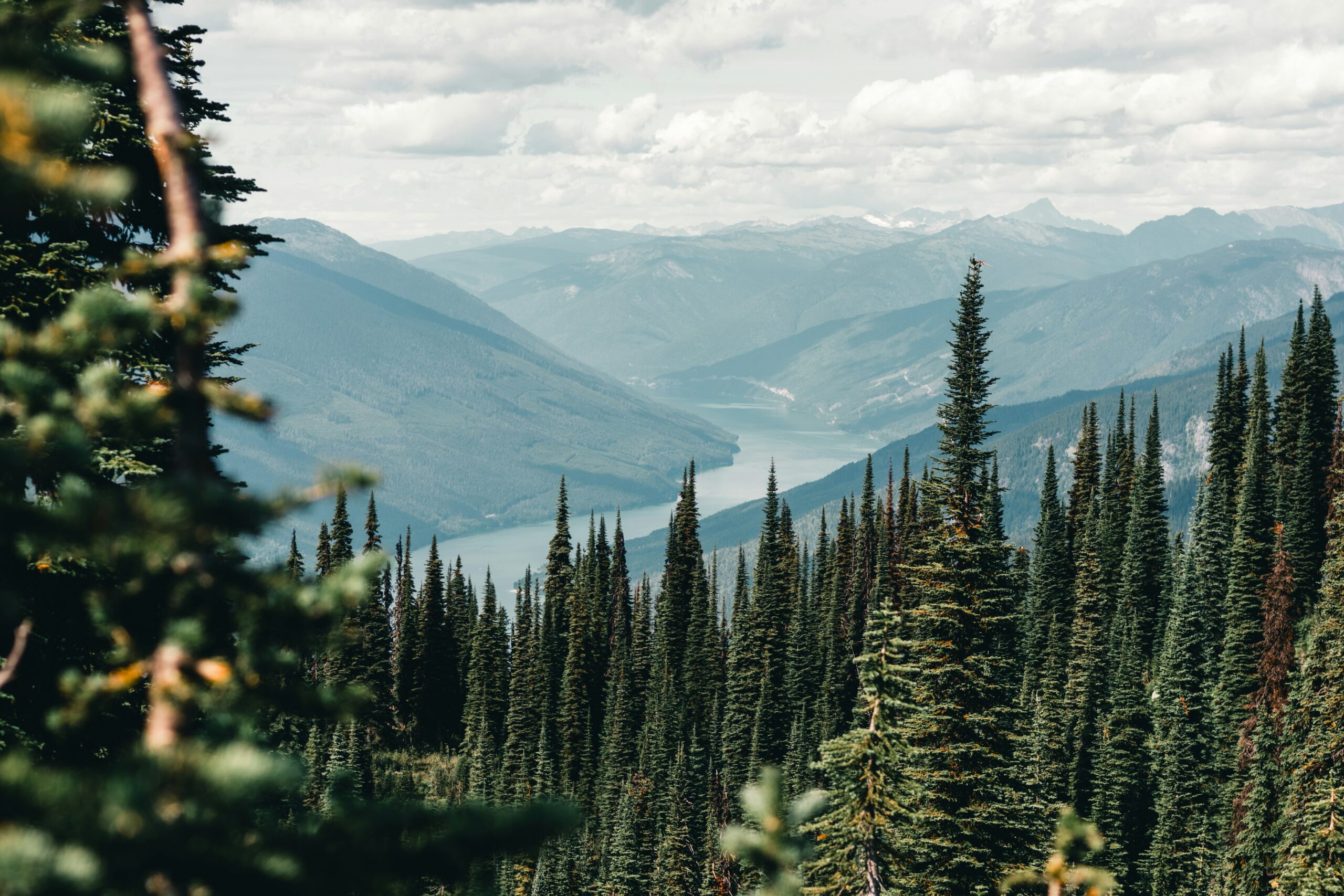 openESG Key Visual – Wald und Berge